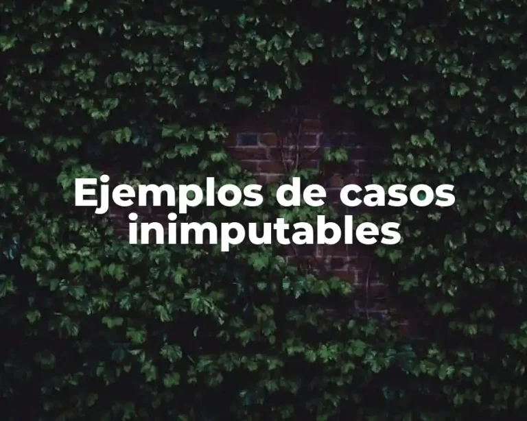 Ejemplos de casos inimputables