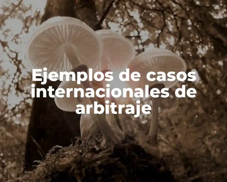 Ejemplos de casos internacionales de arbitraje