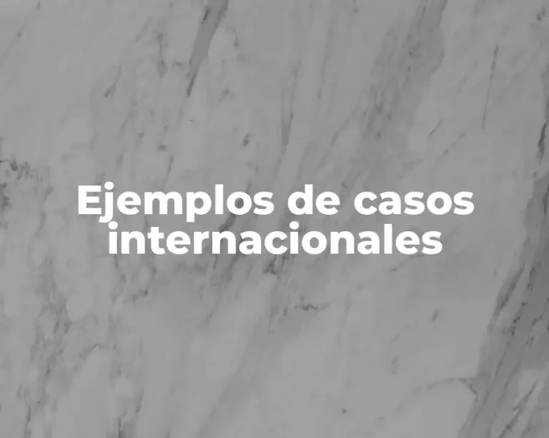 Ejemplos de casos internacionales