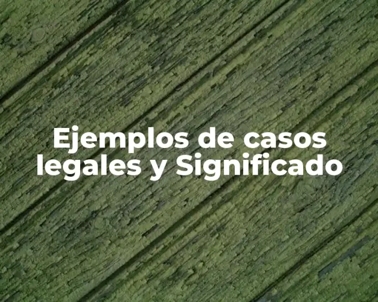 Ejemplos de casos legales y Significado