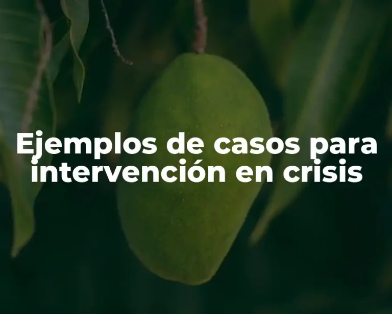 Ejemplos de casos para intervención en crisis