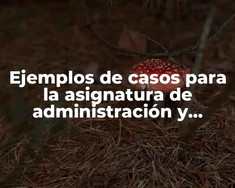 Ejemplos de casos para la asignatura de administración y Significado