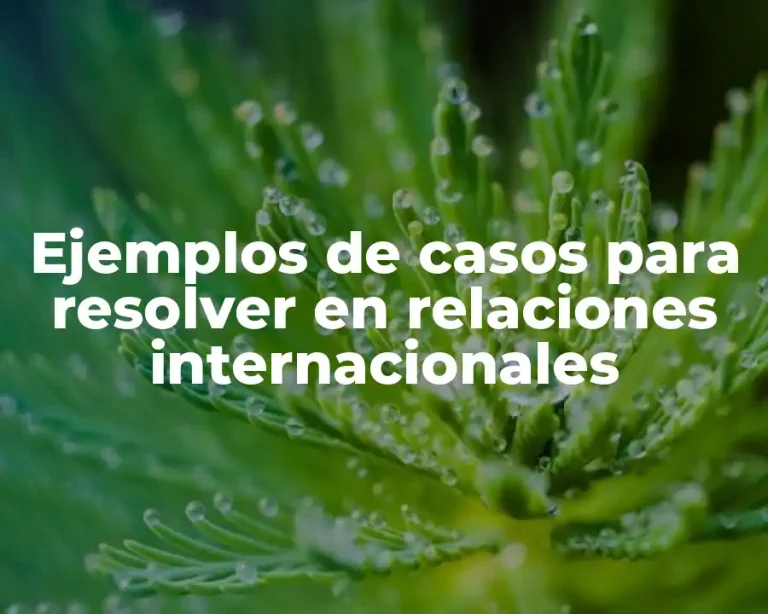 Ejemplos de casos para resolver en relaciones internacionales