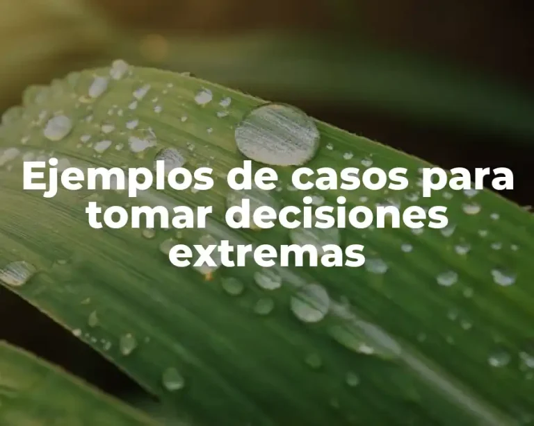 Ejemplos de casos para tomar decisiones extremas