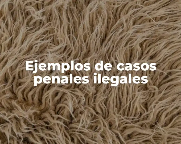 Ejemplos de casos penales ilegales