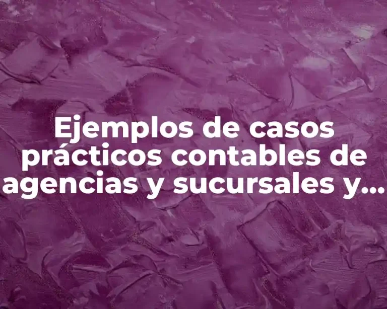 Ejemplos de casos prácticos contables de agencias y sucursales y Significado