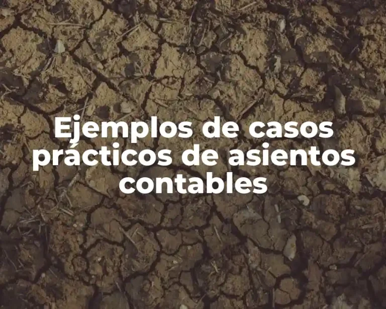Ejemplos de casos prácticos de asientos contables