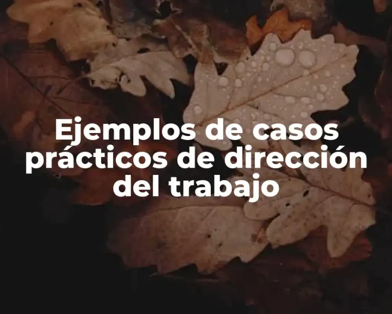 Ejemplos de casos prácticos de dirección del trabajo