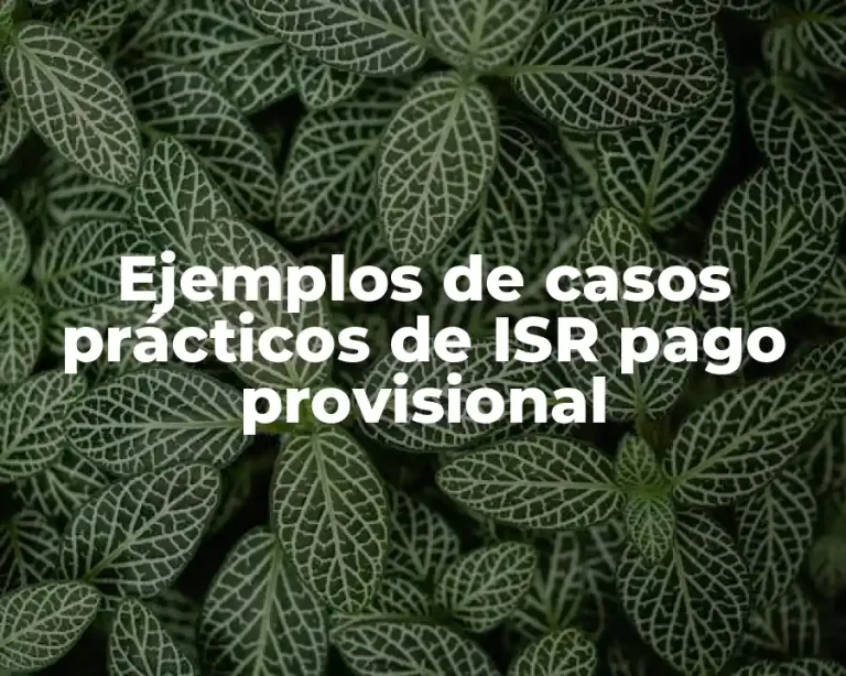 Ejemplos de casos prácticos de ISR pago provisional