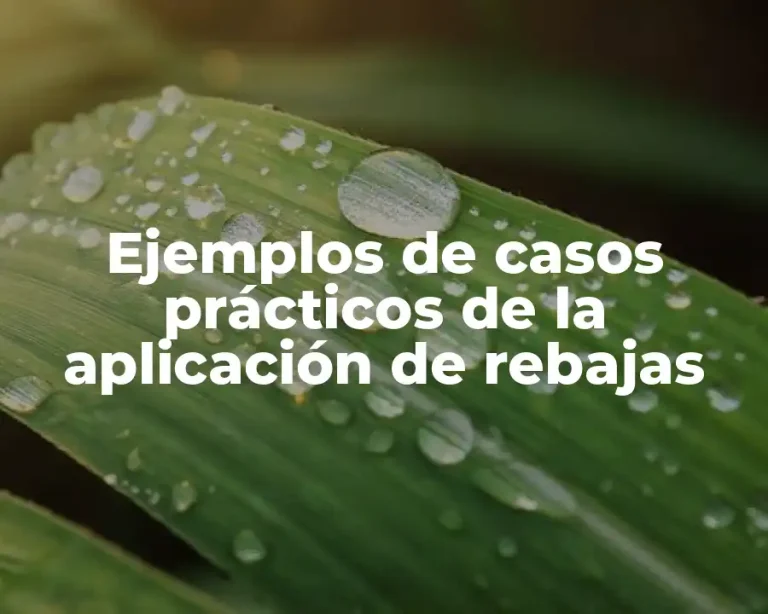 Ejemplos de casos prácticos de la aplicación de rebajas