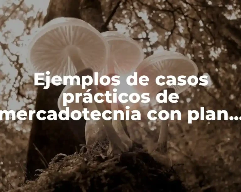 Ejemplos de casos prácticos de mercadotecnia con plan de medios
