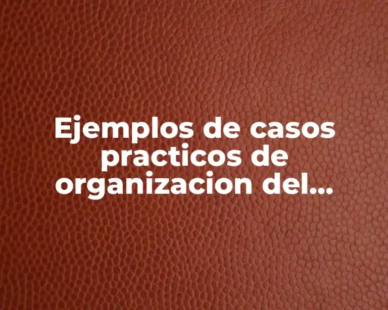 Ejemplos de casos practicos de organizacion del trabajo