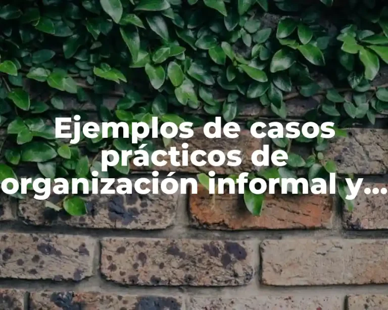 Ejemplos de casos prácticos de organización informal y formal