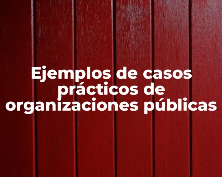 Ejemplos de casos prácticos de organizaciones públicas