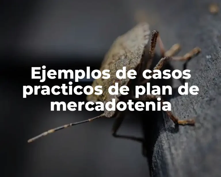 Ejemplos de casos practicos de plan de mercadotenia