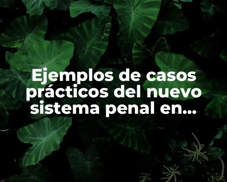Ejemplos de casos prácticos del nuevo sistema penal en México