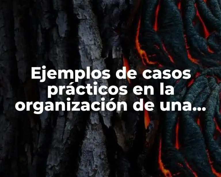 Ejemplos de casos prácticos en la organización de una empresa y Significado