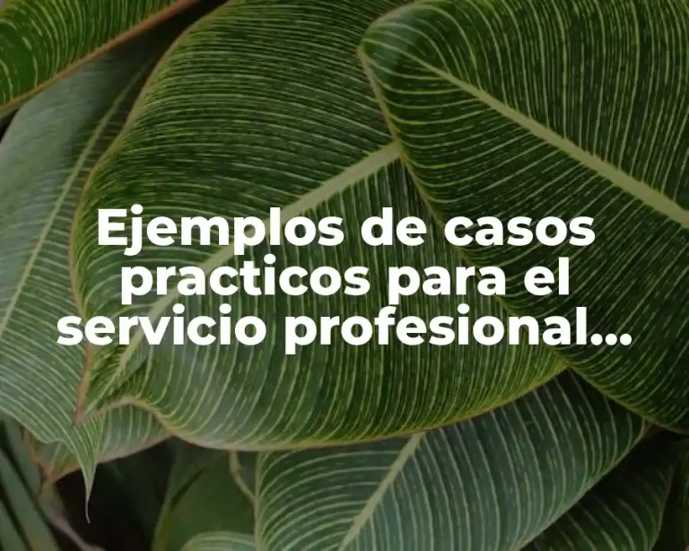 Ejemplos de casos practicos para el servicio profesional docente