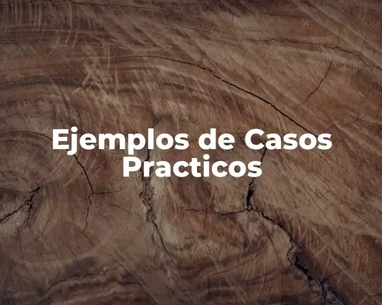 Ejemplos de Casos Practicos
