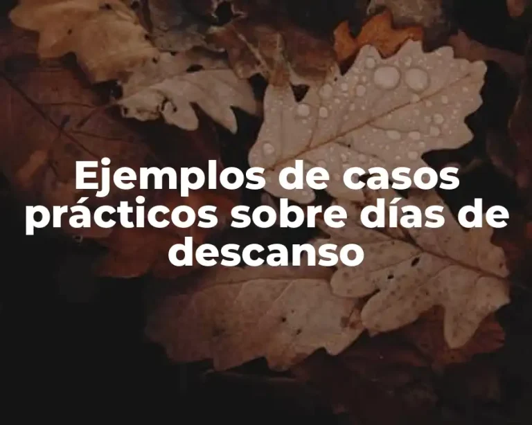 Ejemplos de casos prácticos sobre días de descanso