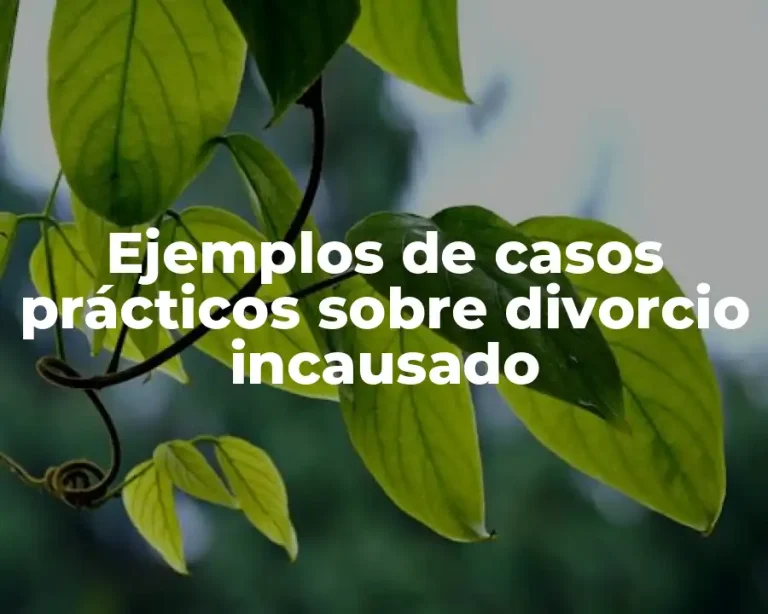Ejemplos de casos prácticos sobre divorcio incausado
