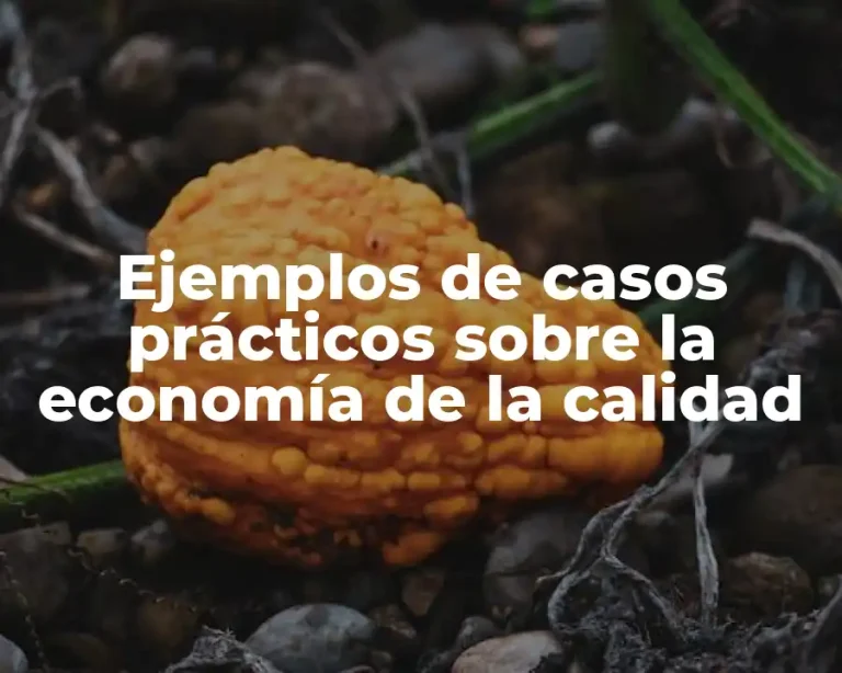 Ejemplos de casos prácticos sobre la economía de la calidad