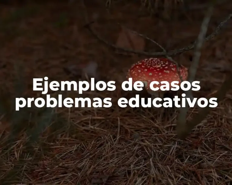 Ejemplos de casos problemas educativos