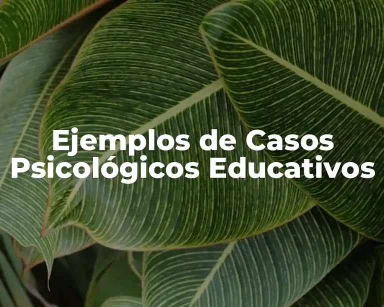 Ejemplos de Casos Psicológicos Educativos