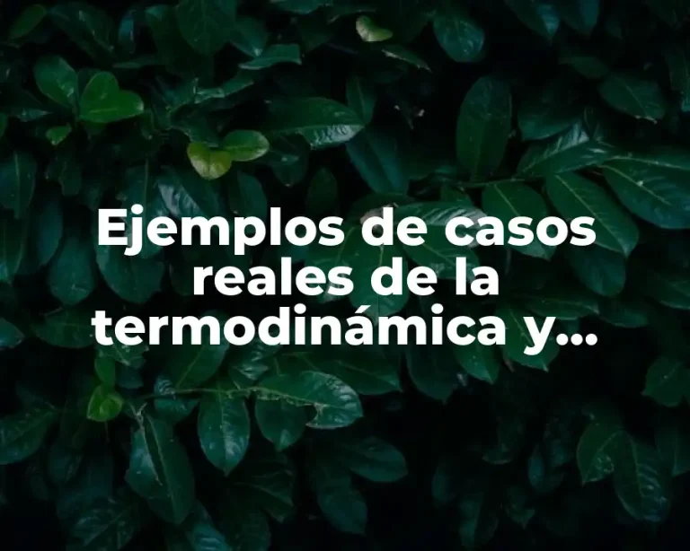 Ejemplos de casos reales de la termodinámica y Significado