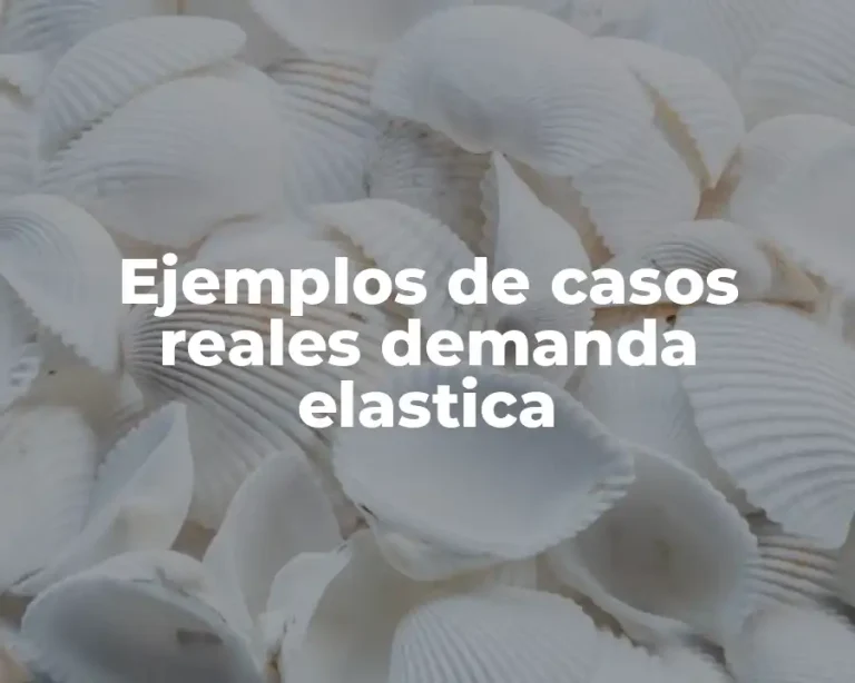 Ejemplos de casos reales demanda elastica