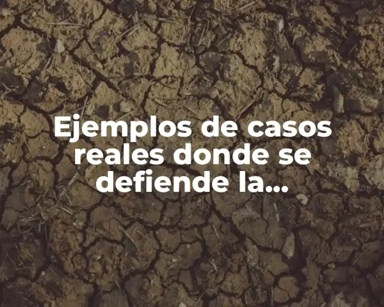 Ejemplos de casos reales donde se defiende la prodigalidad