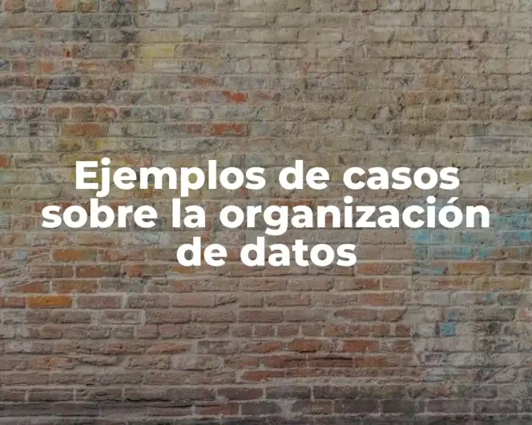 Ejemplos de casos sobre la organización de datos
