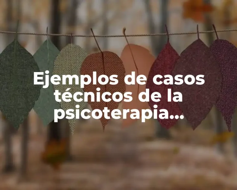 Ejemplos de casos técnicos de la psicoterapia psicodinámica