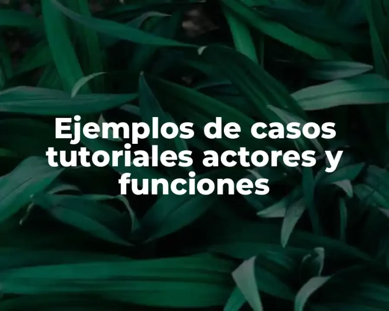 Ejemplos de casos tutoriales actores y funciones
