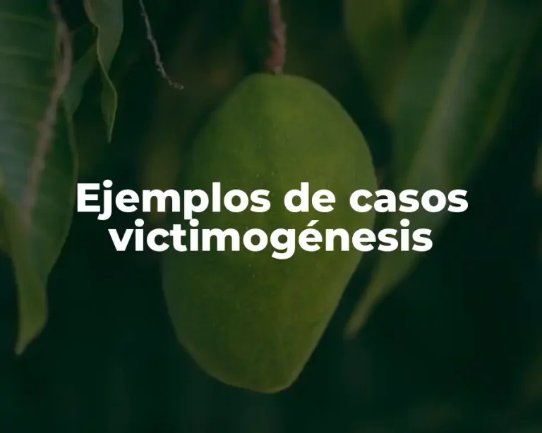 Ejemplos de casos victimogénesis