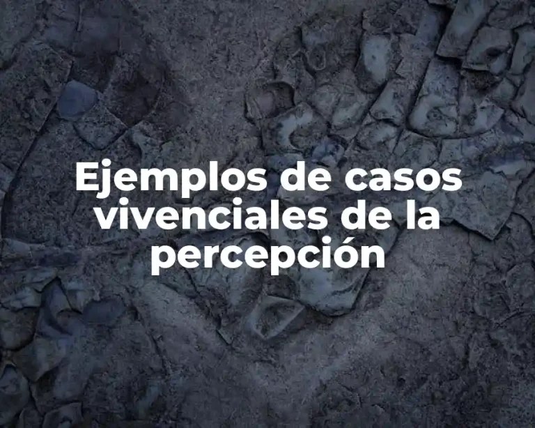 Ejemplos de casos vivenciales de la percepción