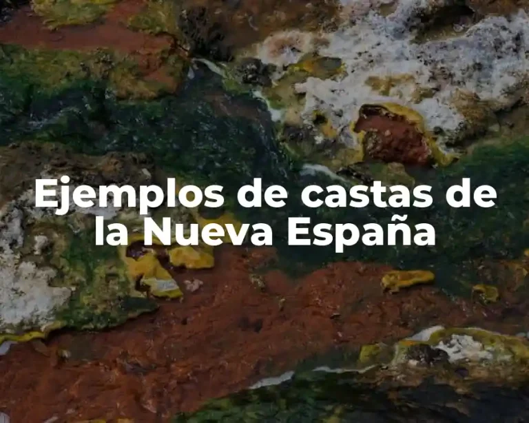Ejemplos de castas de la Nueva España