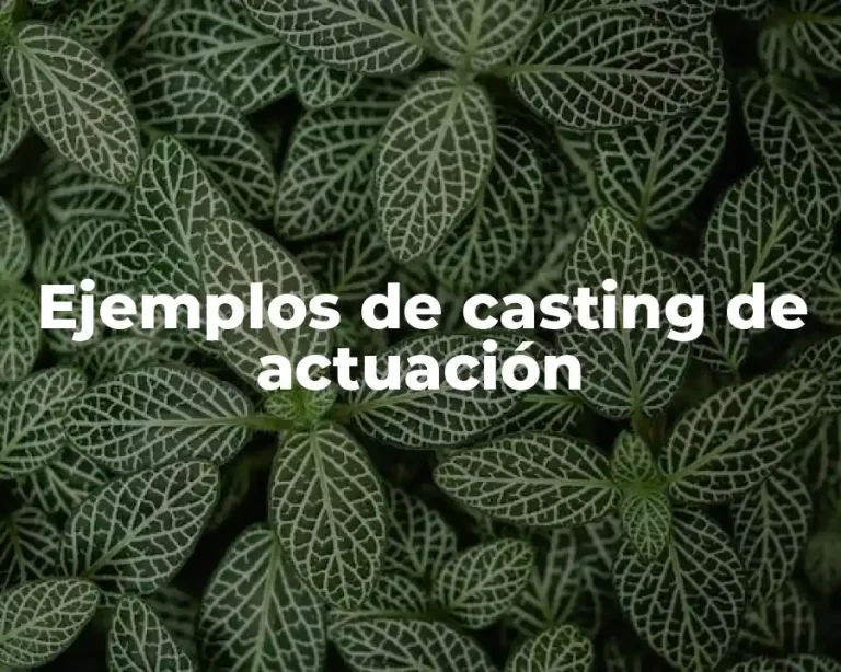Ejemplos de casting de actuación