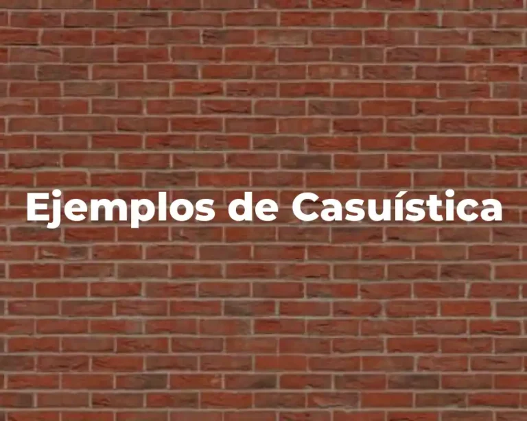 Ejemplos de Casuística