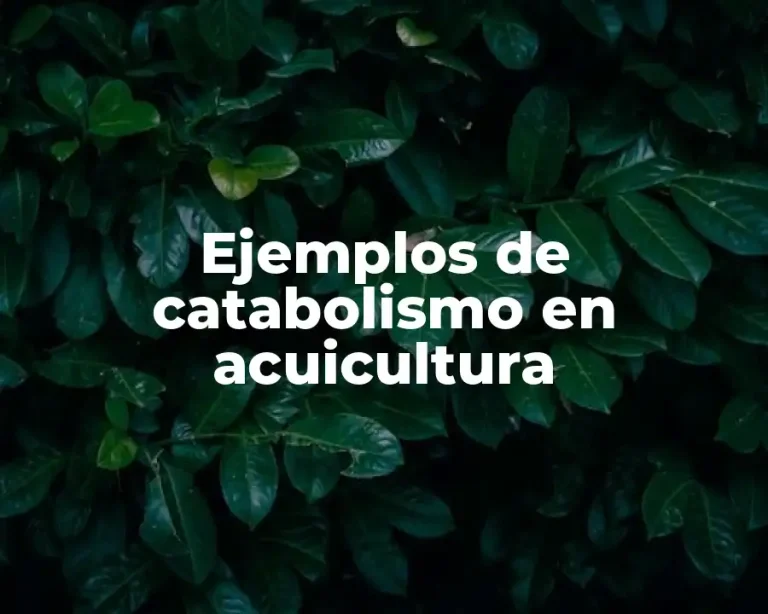 Ejemplos de catabolismo en acuicultura