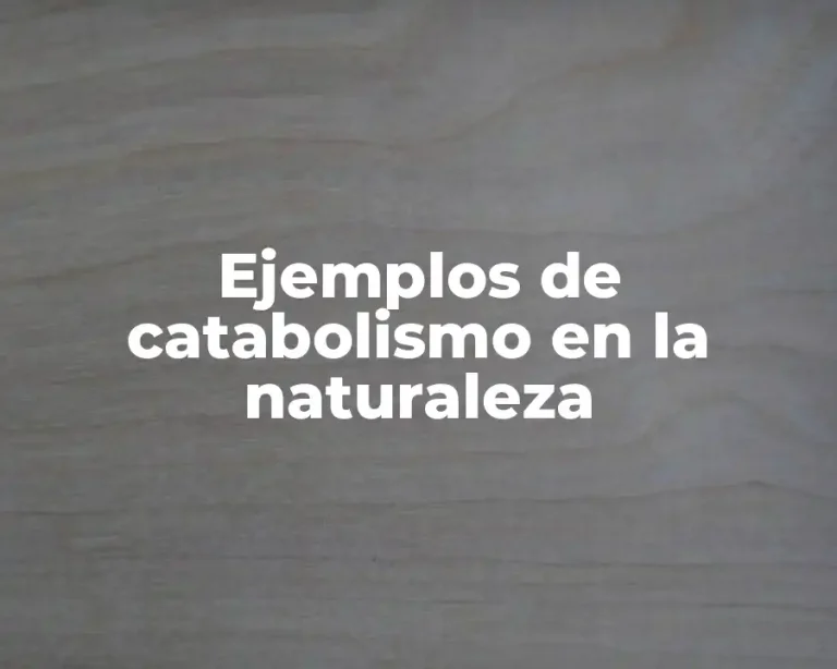 Ejemplos de catabolismo en la naturaleza