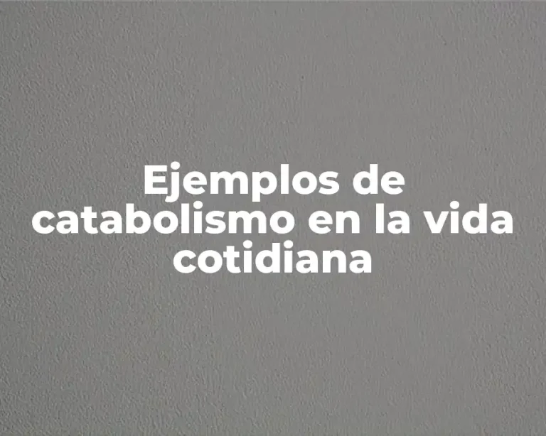 Ejemplos de catabolismo en la vida cotidiana