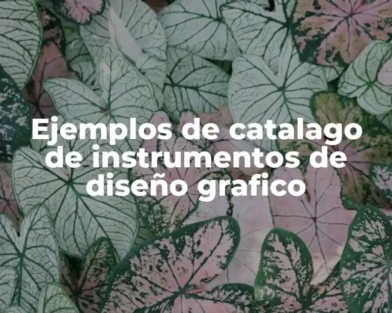 Ejemplos de catalago de instrumentos de diseño grafico