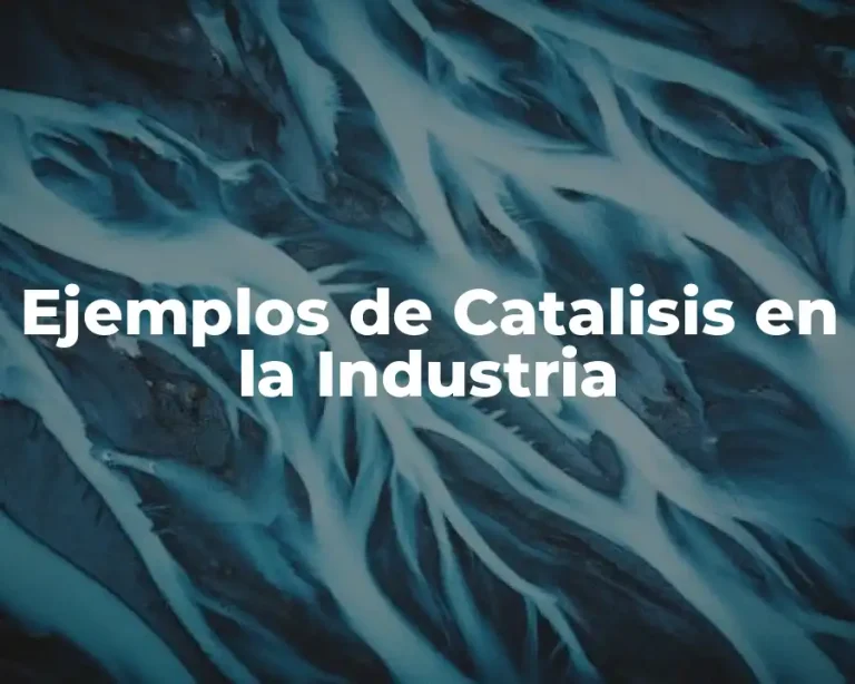 Ejemplos de Catalisis en la Industria