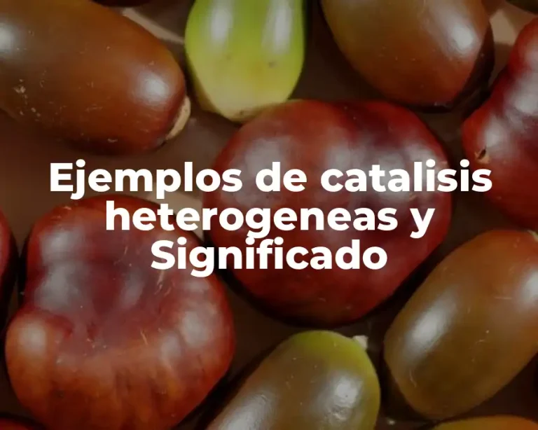 Ejemplos de catalisis heterogeneas y Significado