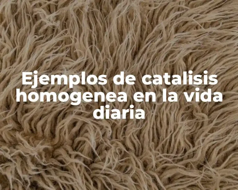Ejemplos de catalisis homogenea en la vida diaria