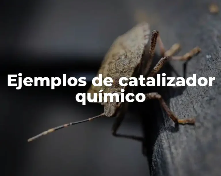 Ejemplos de catalizador químico