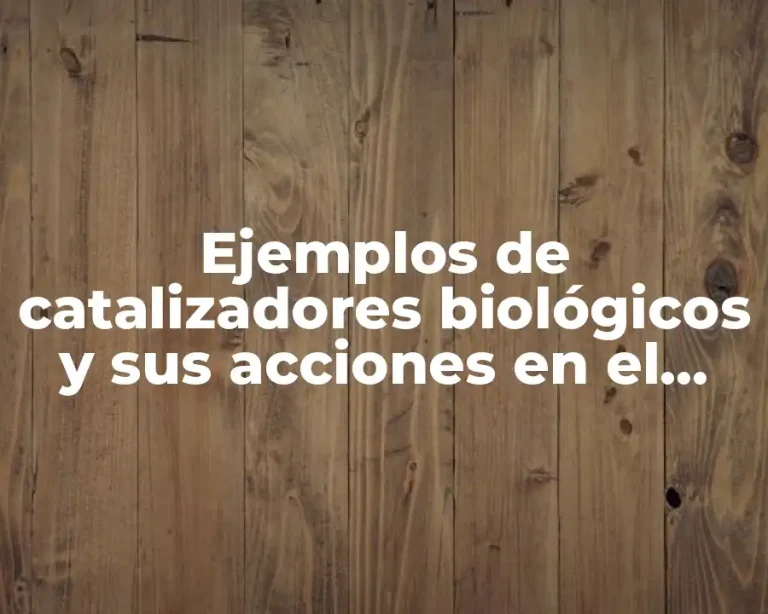 Ejemplos de catalizadores biológicos y sus acciones en el organismo