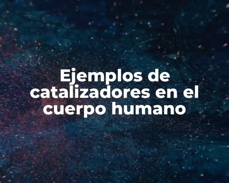 Ejemplos de catalizadores en el cuerpo humano
