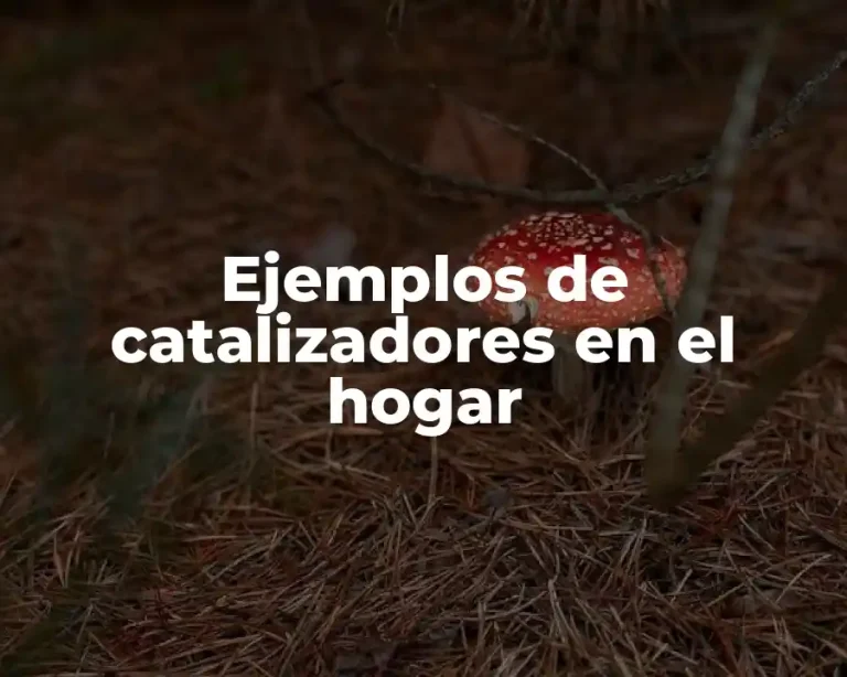 Ejemplos de catalizadores en el hogar
